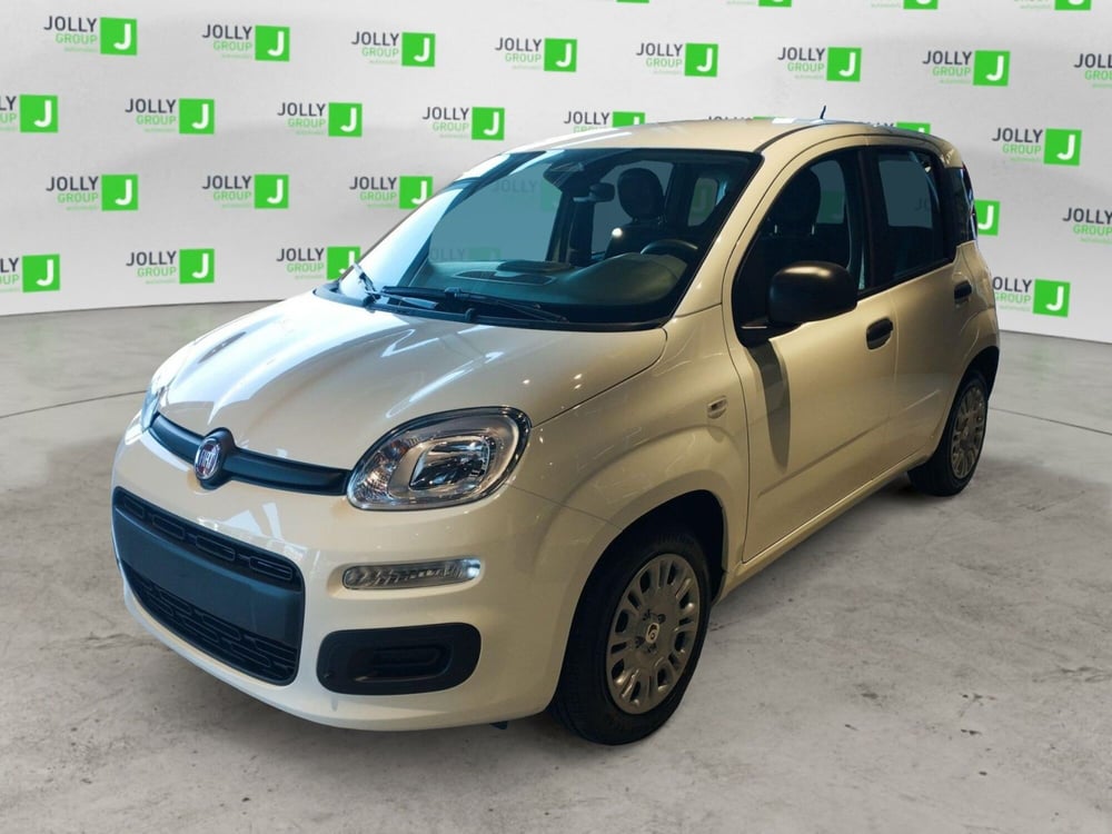 Fiat Panda nuova a Frosinone (2)