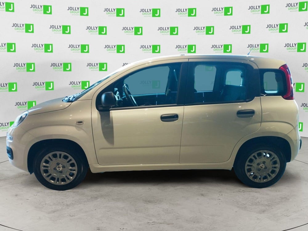 Fiat Panda nuova a Frosinone (3)