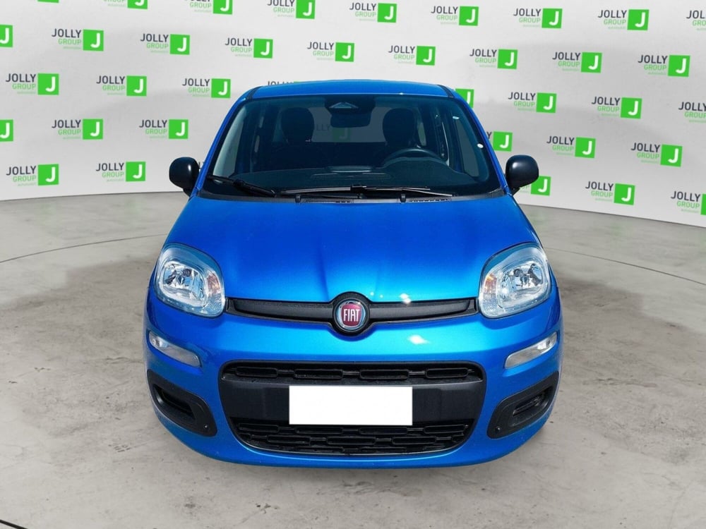 Fiat Panda nuova a Frosinone