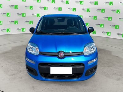 Fiat Panda 1.0 FireFly S&amp;S Hybrid City Cross nuova a Ceccano