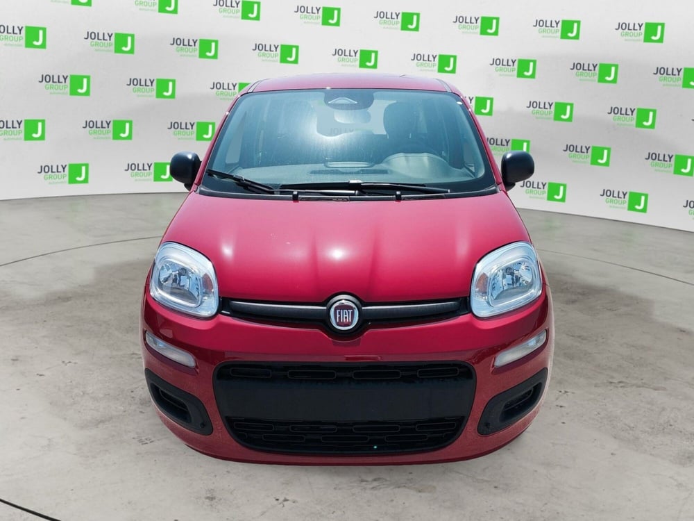 Fiat Panda nuova a Frosinone