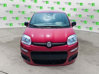 Fiat Panda 1.0 FireFly S&amp;S Hybrid City Cross nuova a Ceccano