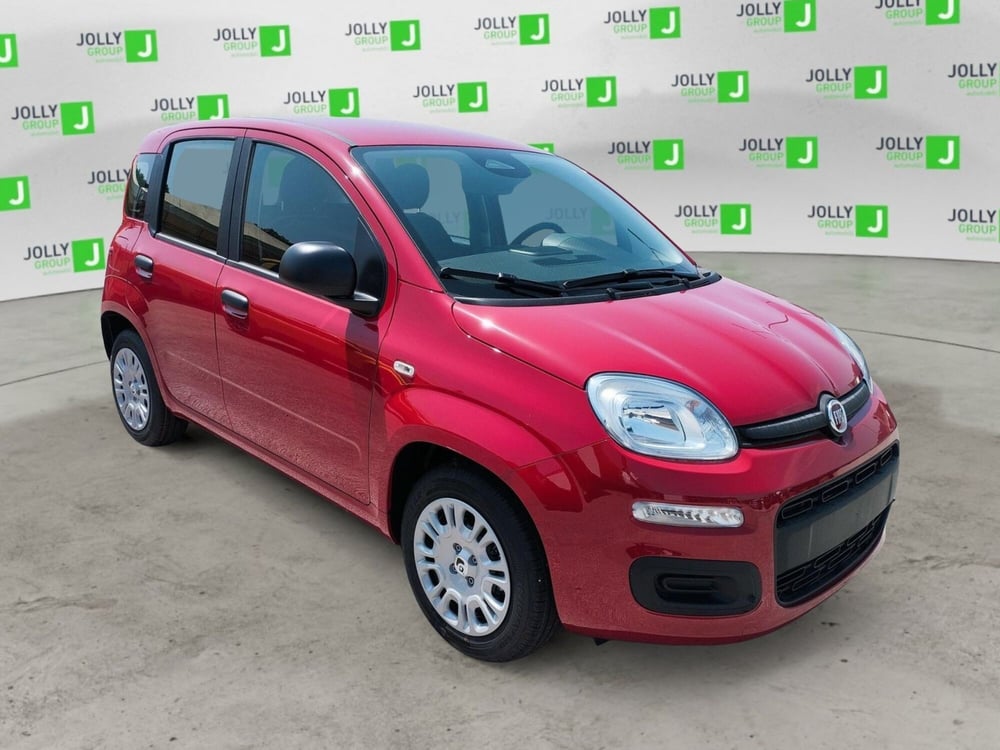 Fiat Panda nuova a Frosinone (2)