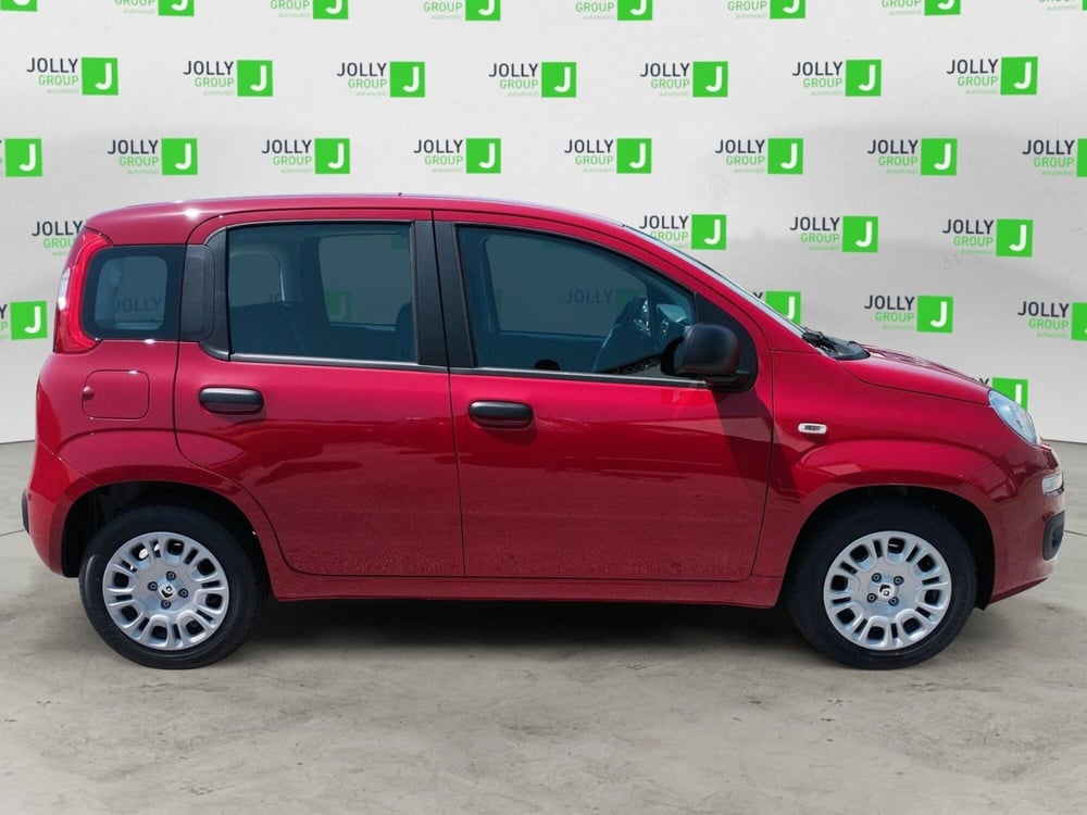 Fiat Panda nuova a Frosinone (3)