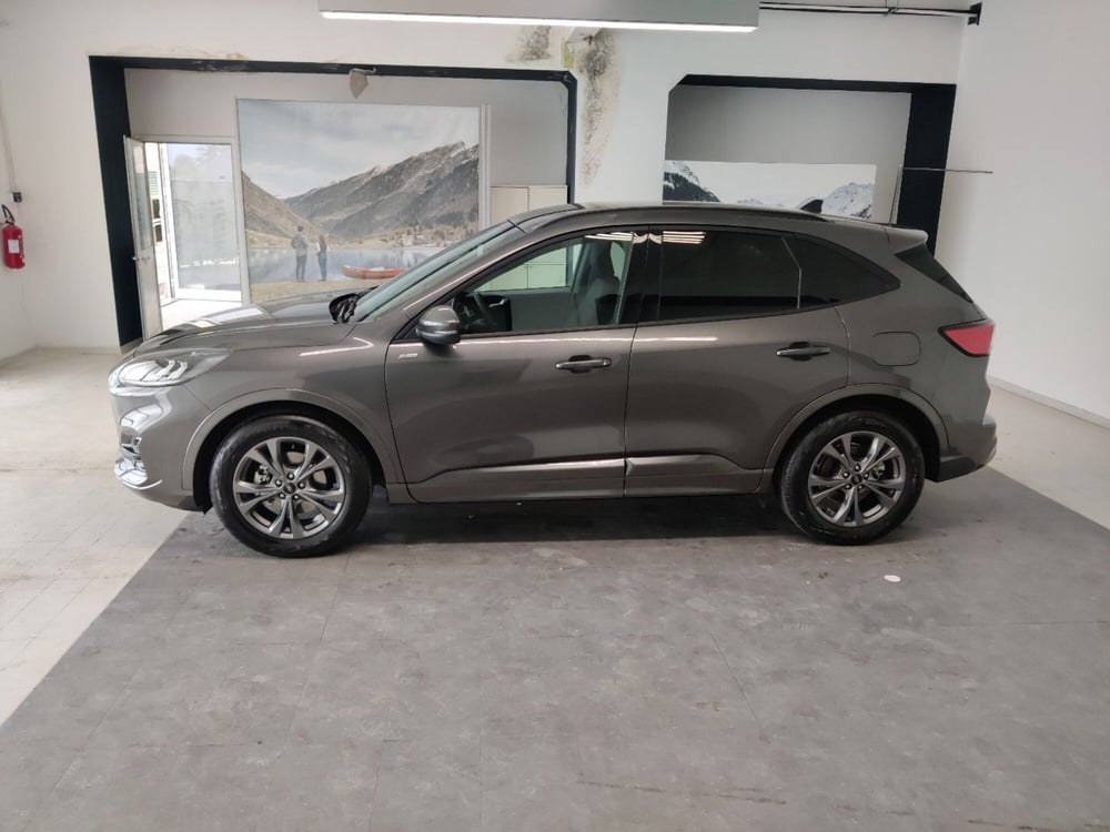 Ford Kuga usata a Arezzo (7)
