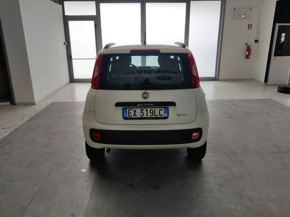 Fiat Panda usata a Arezzo (5)