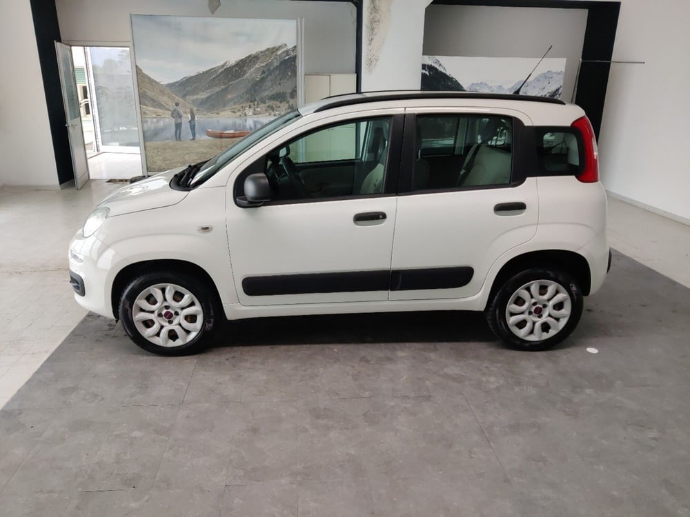 Fiat Panda usata a Arezzo (7)