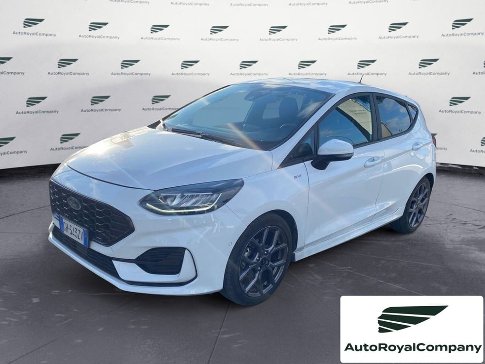 Ford Fiesta usata a Roma