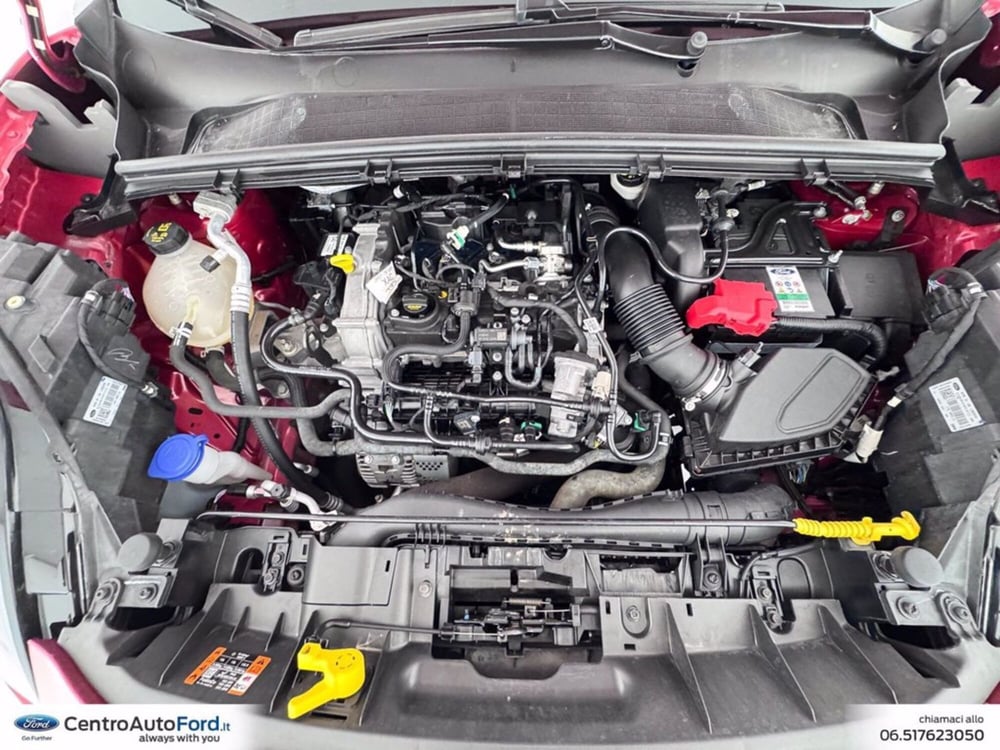 Ford Puma usata a Roma (12)