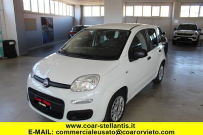 Fiat Panda 1.0 firefly hybrid s&amp;s 70cv 5p.ti del 2021 usata a Orvieto
