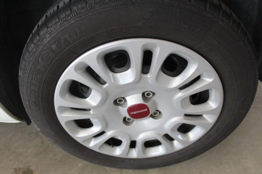 Fiat Panda usata a Terni (15)