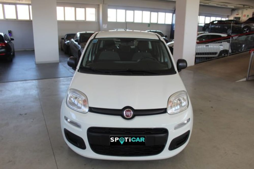 Fiat Panda usata a Terni (2)