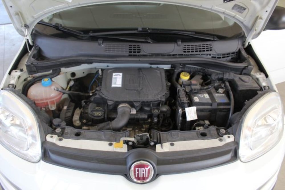 Fiat Panda usata a Terni (20)