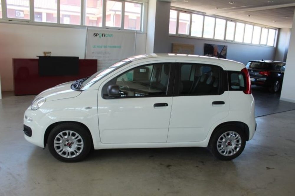 Fiat Panda usata a Terni (3)