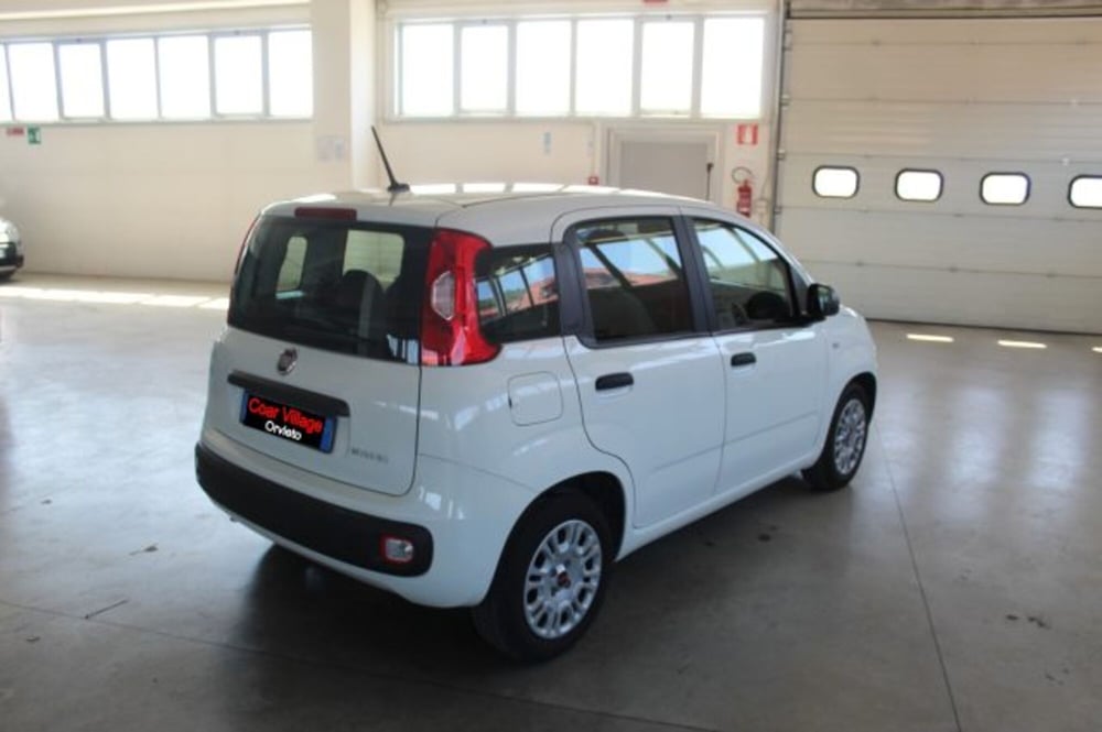 Fiat Panda usata a Terni (4)
