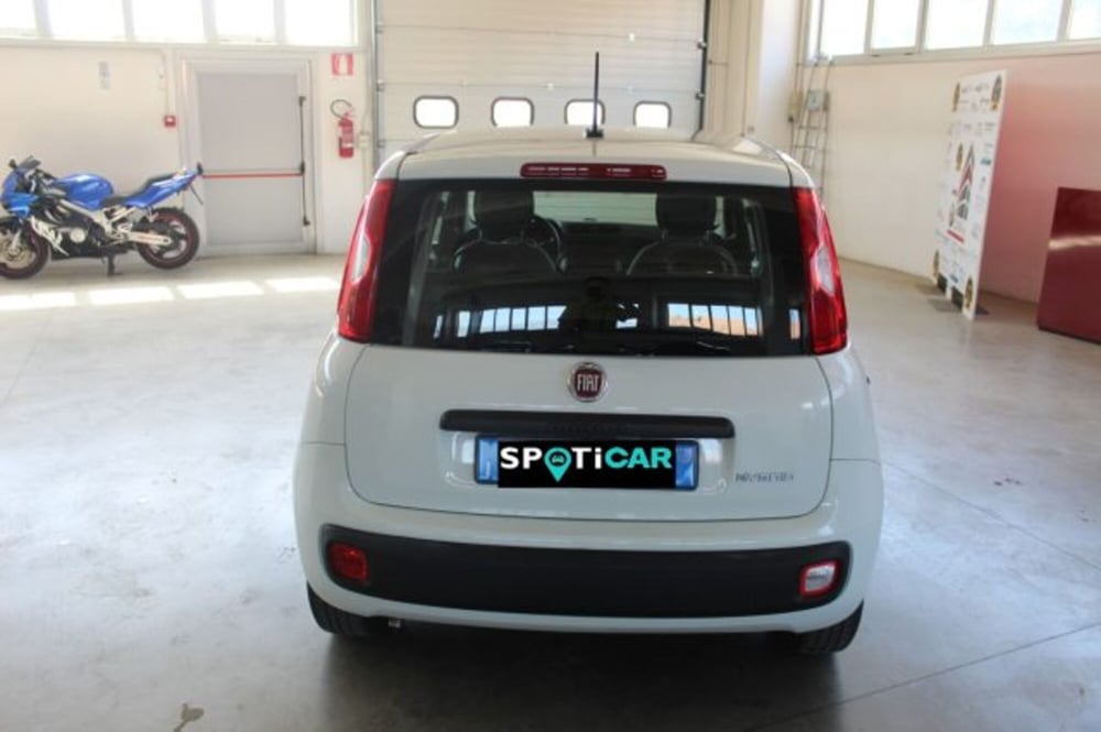 Fiat Panda usata a Terni (5)