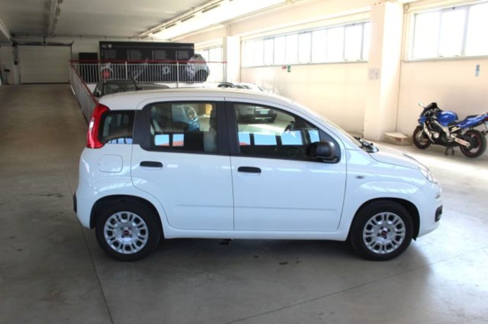 Fiat Panda usata a Terni (6)