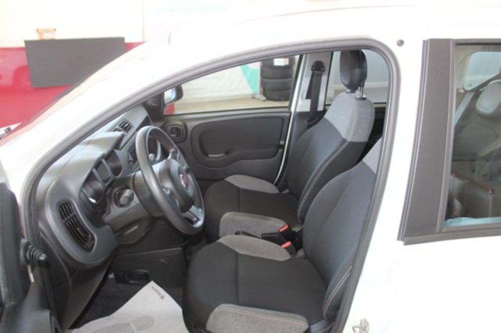 Fiat Panda usata a Terni (7)