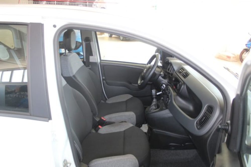 Fiat Panda usata a Terni (8)
