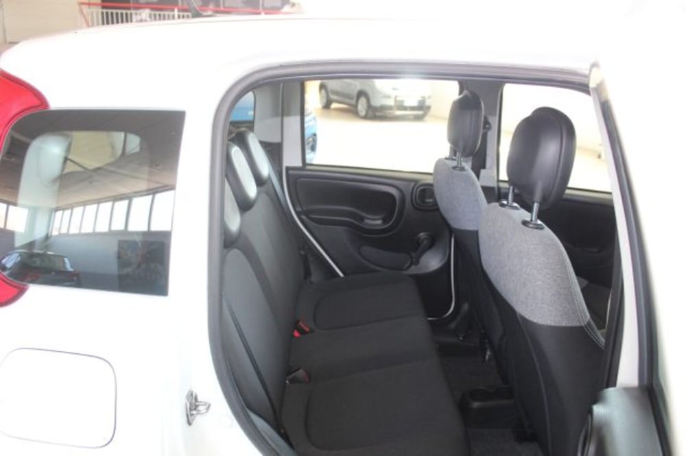 Fiat Panda usata a Terni (9)