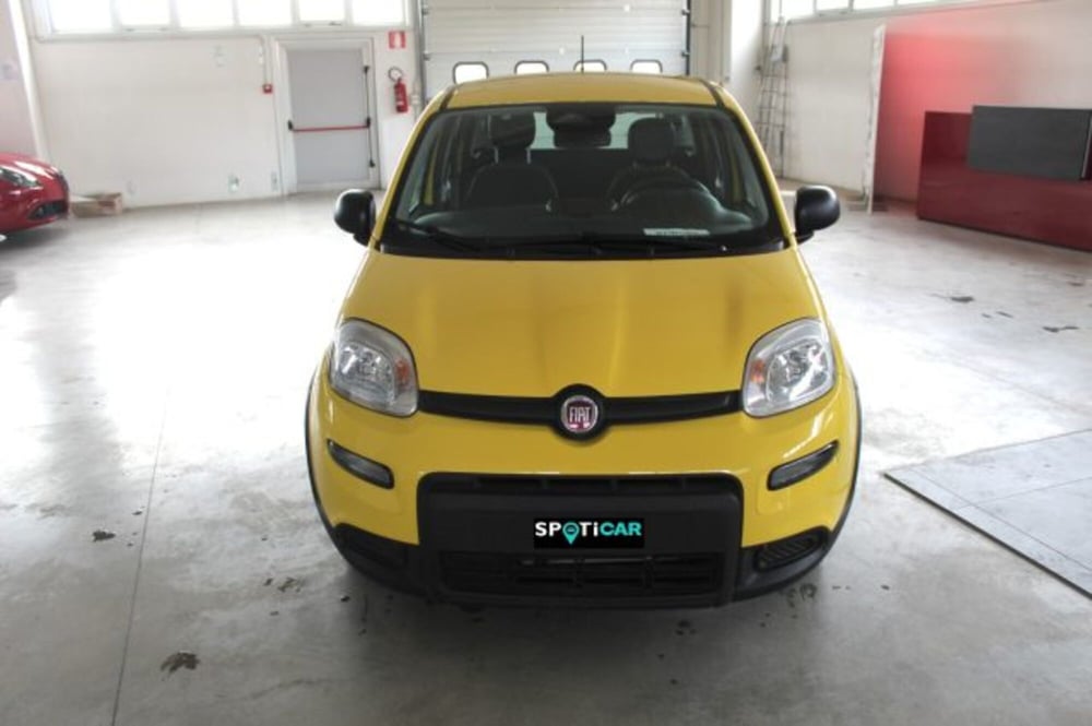 Fiat Panda nuova a Terni (2)