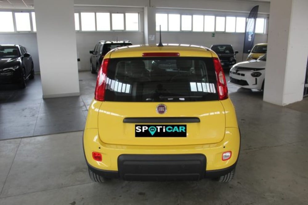 Fiat Panda nuova a Terni (5)
