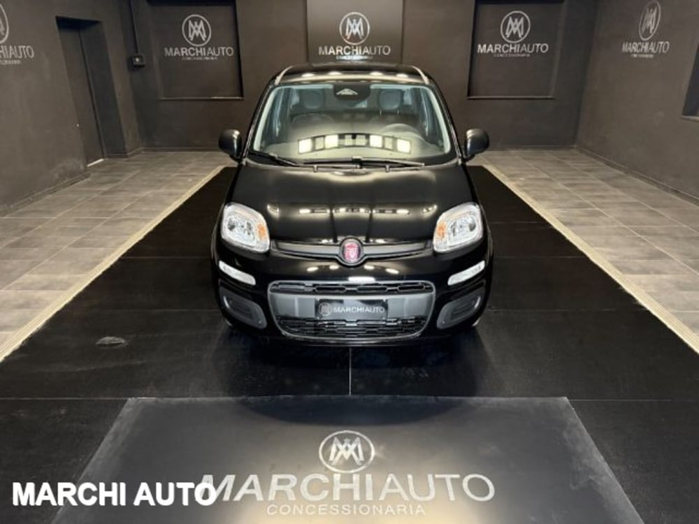 Fiat Panda nuova a Perugia (2)