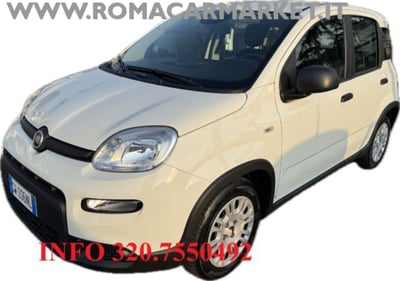 Fiat Panda 1.0 firefly hybrid s&amp;s 70cv 5p.ti del 2024 usata a Roma