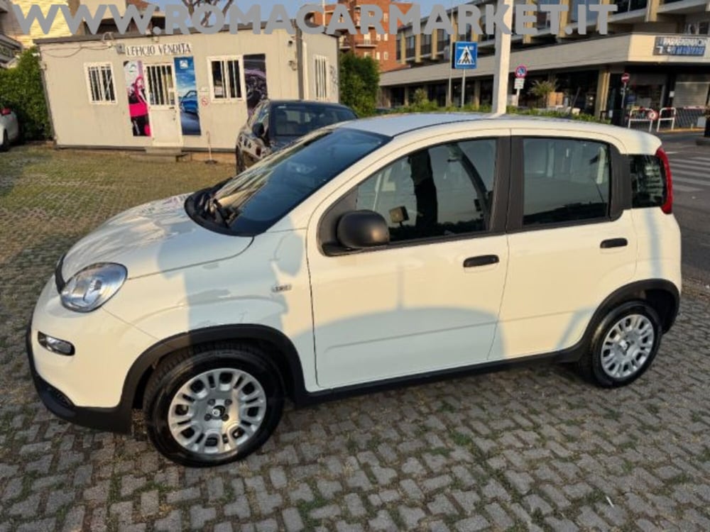 Fiat Panda usata a Roma (2)