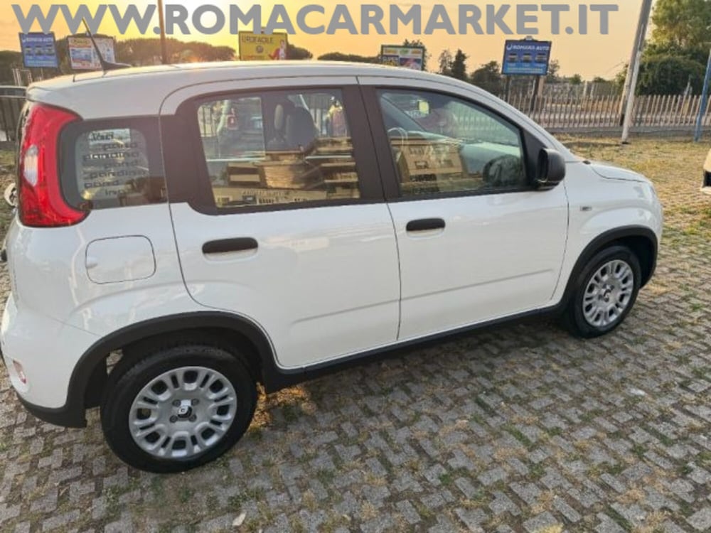 Fiat Panda usata a Roma (4)