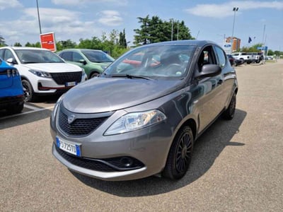 Lancia Ypsilon 1.2 69 CV 5 porte Elefantino Blu del 2018 usata a Imola