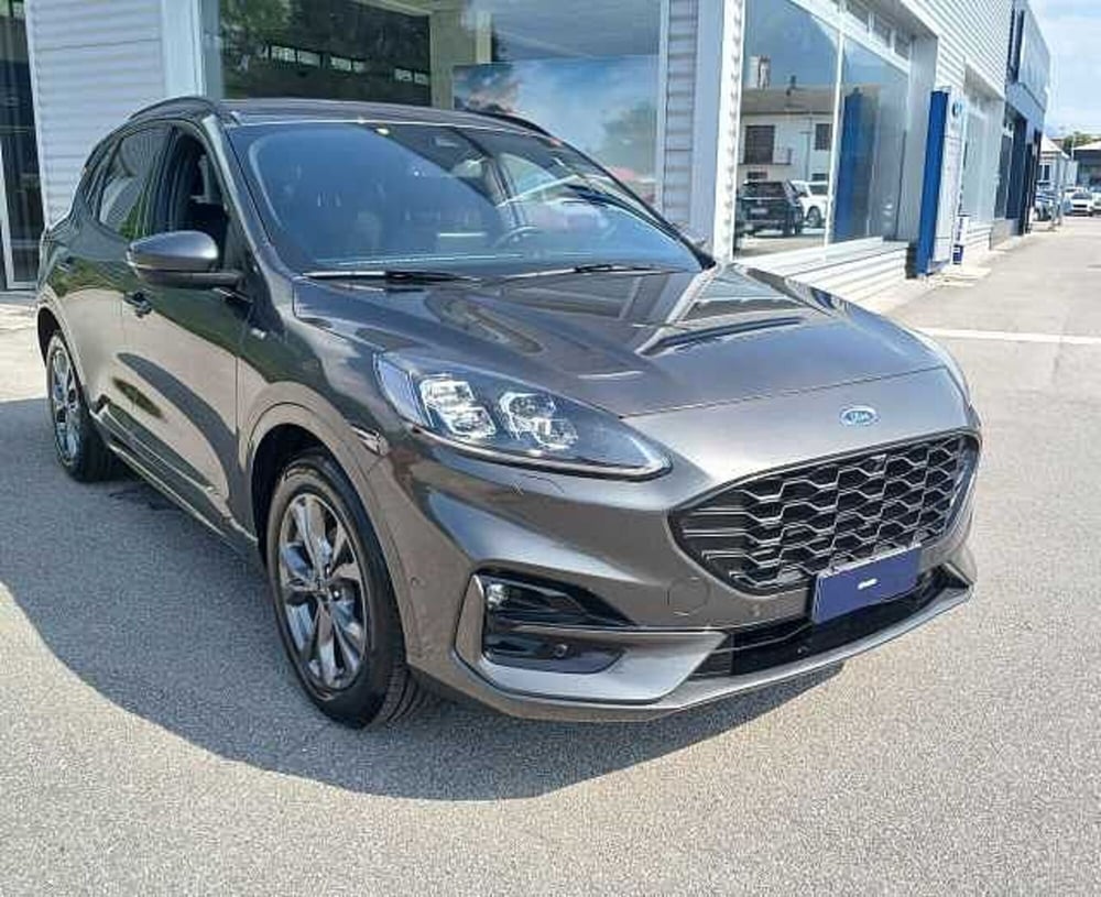 Ford Kuga usata a Treviso (2)
