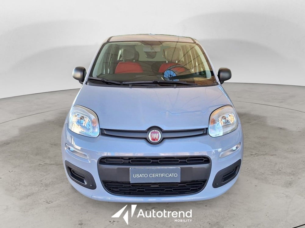 Fiat Panda Cross usata a Bari (3)