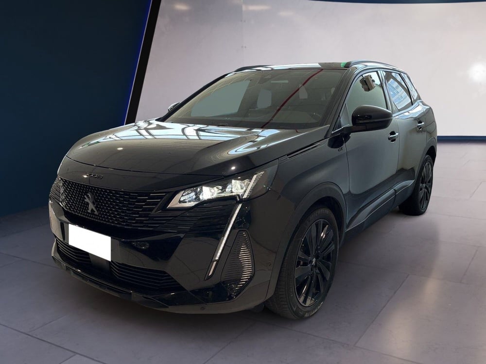 Peugeot 3008 usata a Torino (2)