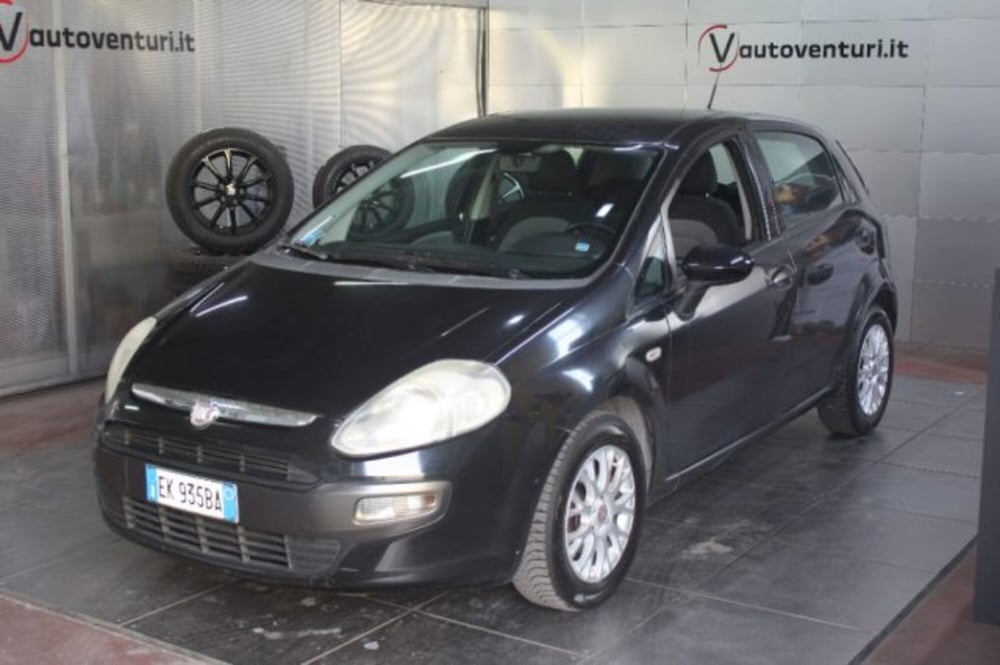 Fiat Punto Evo usata a Viterbo (3)