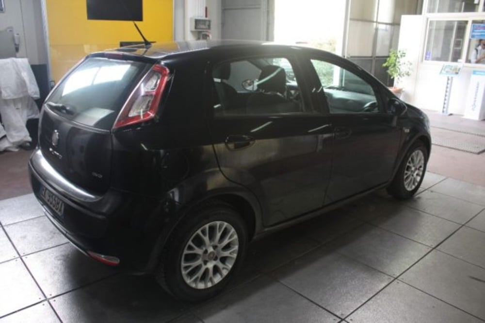 Fiat Punto Evo usata a Viterbo (7)