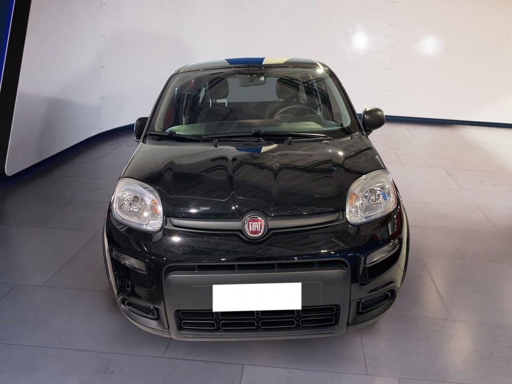 Fiat Panda nuova a Torino (2)