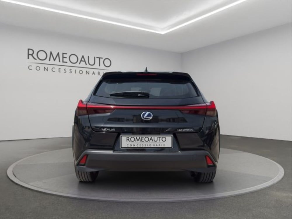 Lexus UX usata a Perugia (5)
