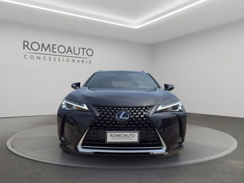 Lexus UX usata a Perugia (9)