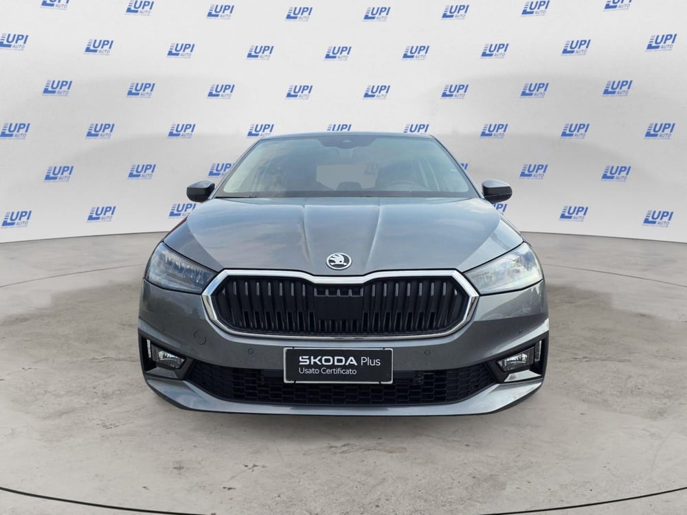 Skoda Fabia usata a Pistoia (2)