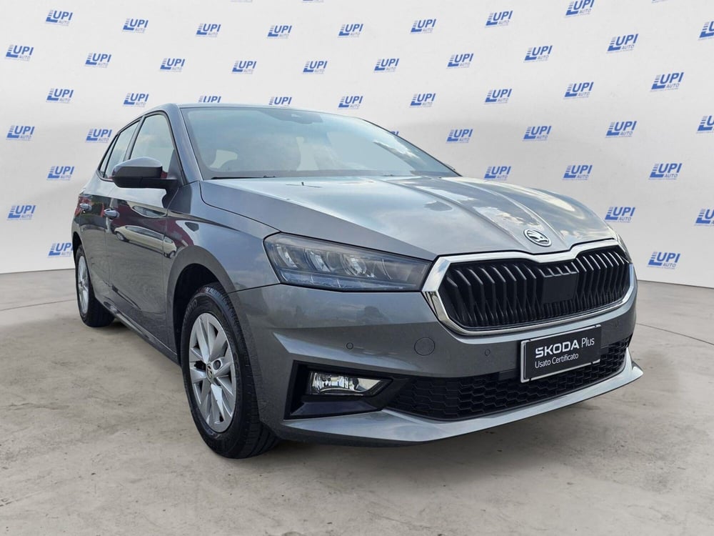 Skoda Fabia usata a Pistoia (3)