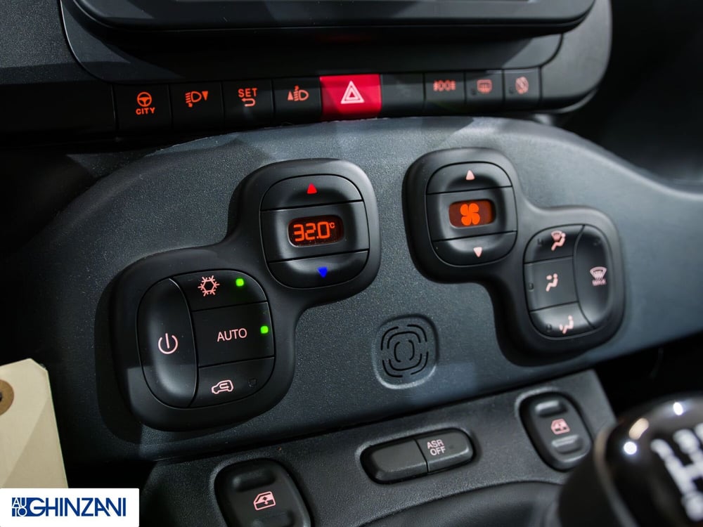 Fiat Panda Cross usata a Bergamo (15)