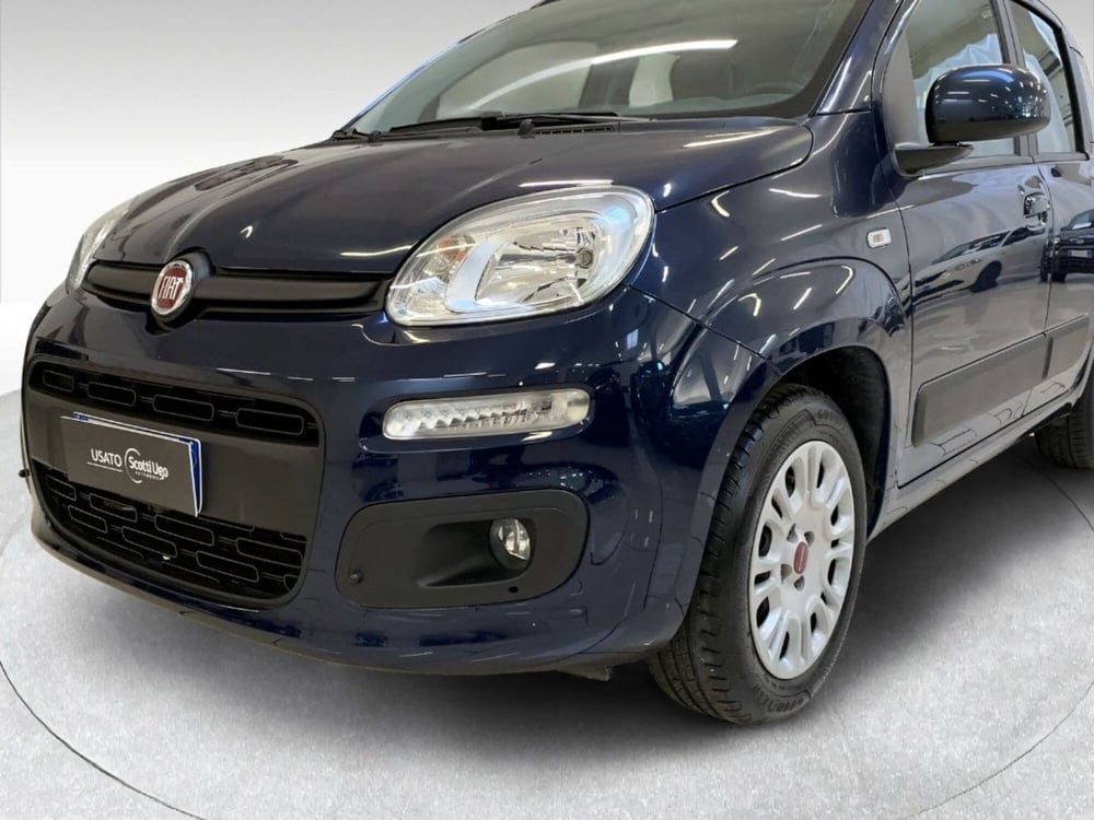 Fiat Panda usata a Siena (2)