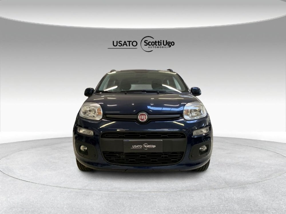 Fiat Panda usata a Siena (3)