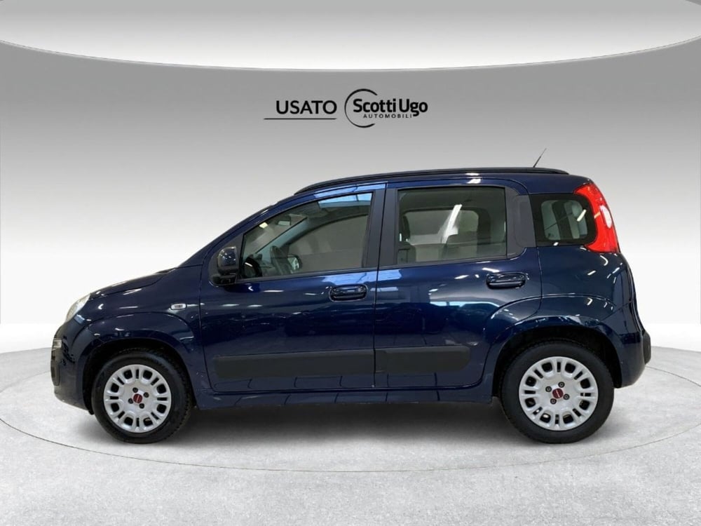 Fiat Panda usata a Siena (4)