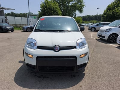 Fiat Panda 1.0 firefly hybrid s&amp;s 70cv 5p.ti del 2023 usata a Ceccano