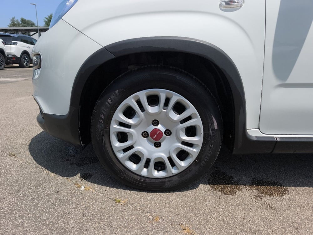 Fiat Panda usata a Frosinone (10)
