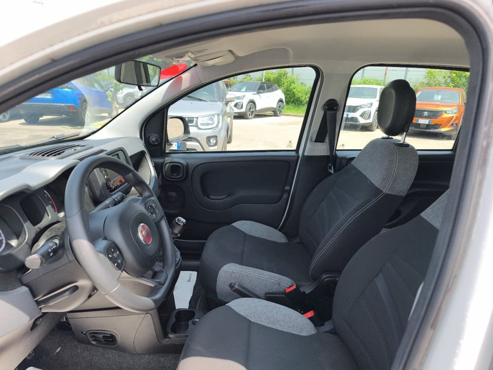 Fiat Panda usata a Frosinone (13)