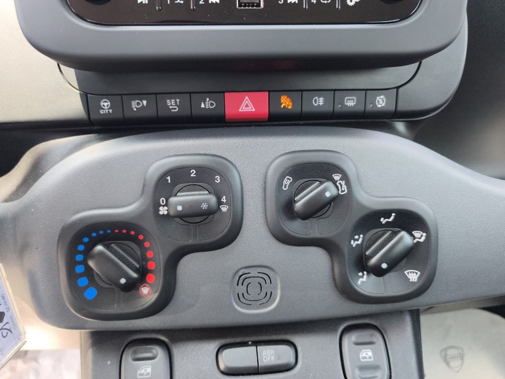 Fiat Panda usata a Frosinone (16)