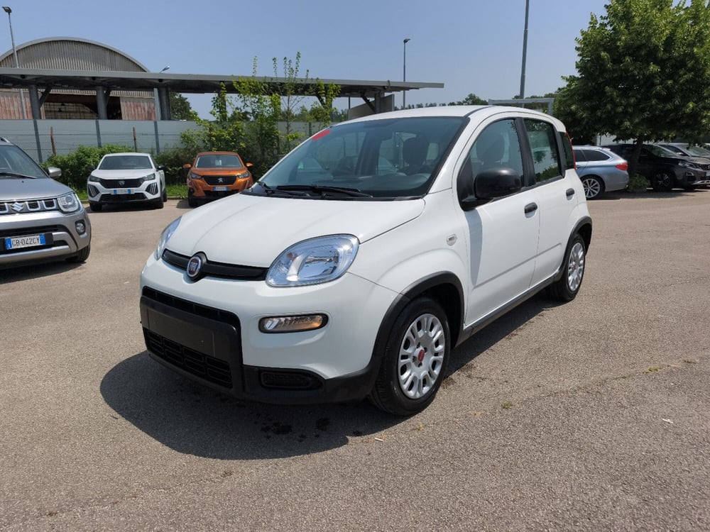 Fiat Panda usata a Frosinone (2)